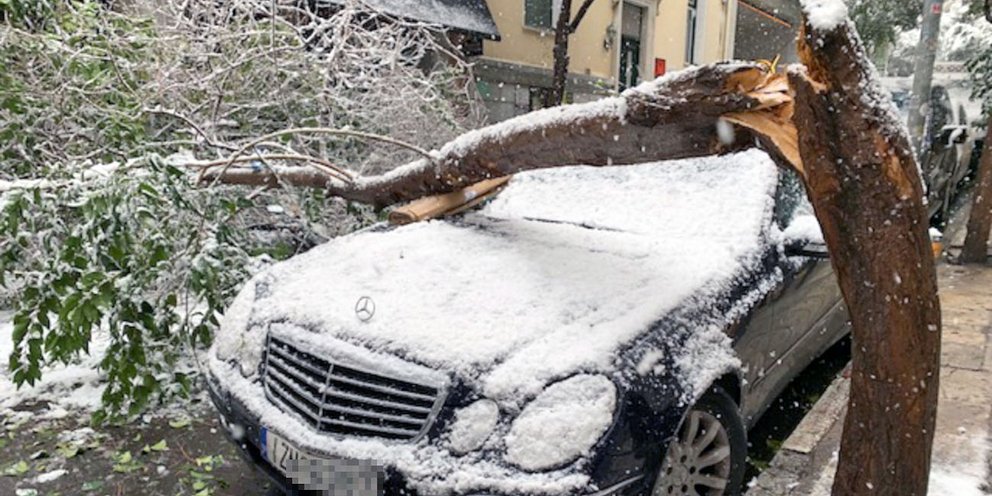 πτώση δέντρου σε αυτοκίνητο