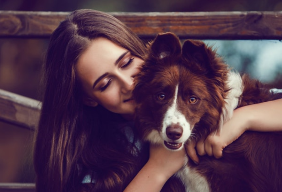 Hoolie Pet Insurance: 10 λόγοι για να υιοθετήσετε ένα αδέσποτο