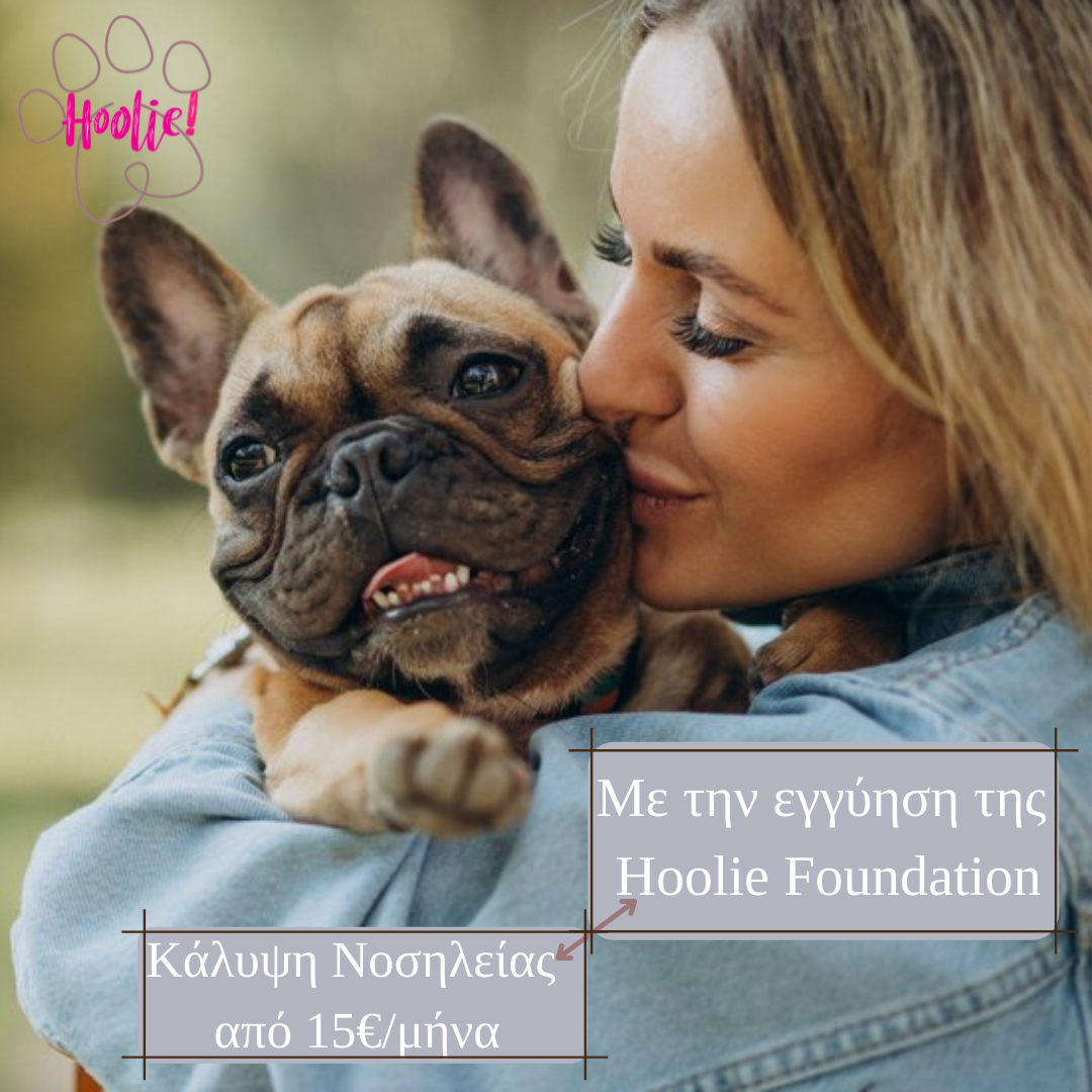 Καινοτομία στην ελληνική αγορά από την Hoolie Foundation! Αναγνώρισε τη ράτσα του κατοικιδίου σου με το πάτημα ενός κουμπιού