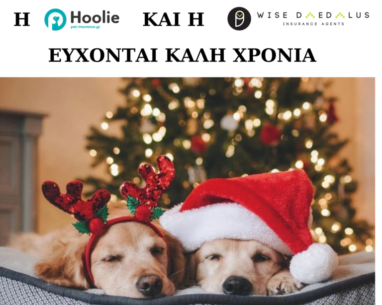 Εσύ ασφάλισες το κατοικίδιο σου; hoolie