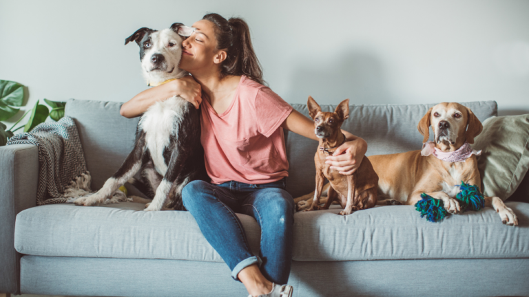 Οι εξειδικευμένες καλύψεις του προγράμματος ασφάλισης κατοικιδίων “Pluto” by Hoolie Foundation