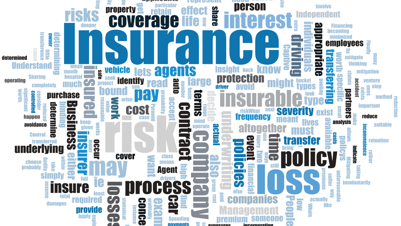 Fortune 500, Markel, Renew, underwriting