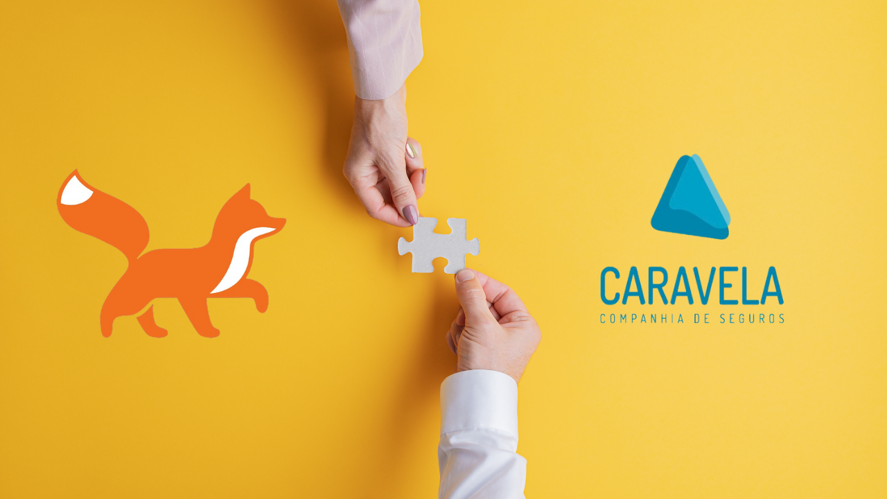 pricefox, caravela