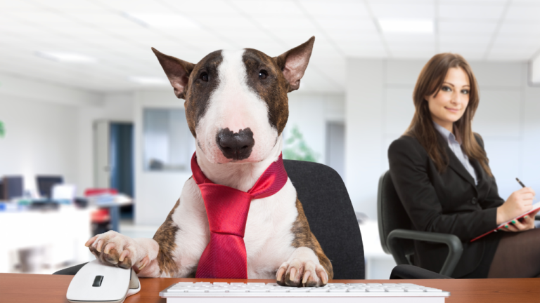 Wise Daedalus, take your dog to work day