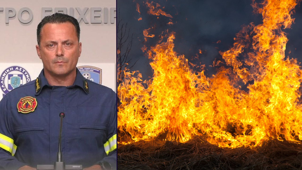 δασικές πυρκαγιές, Ιωάννης Αρτοποιός, αυτοψίες, κτήρια