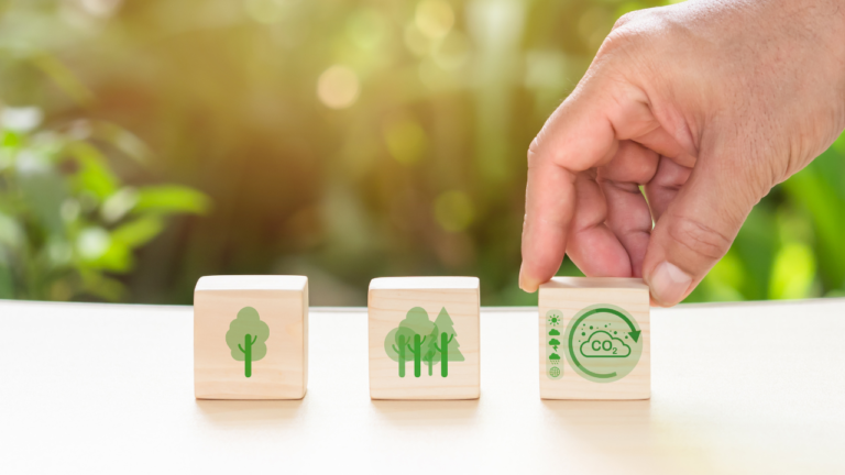 Κυκλική Οικονομία, EY Ελλάδος