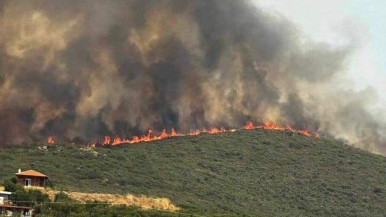φωτιά, πυρκαγιά, Πολύγυρος, Χαλκιδική