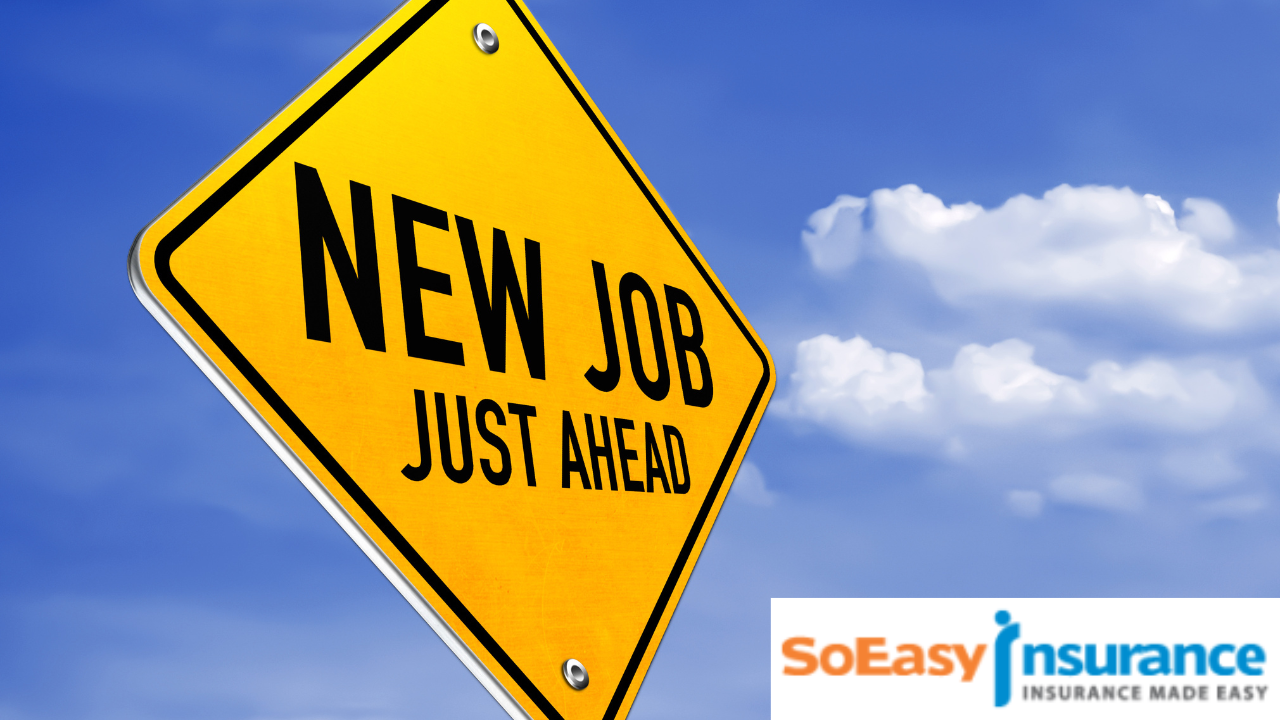 soeasy insurance, θέση εργασίας