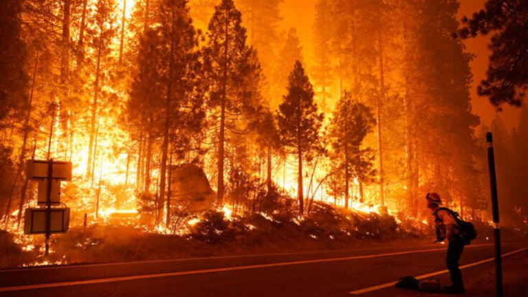 δασικές πυρκαγιές, καταγραφή ζημιών σε Αττική και Κορινθία