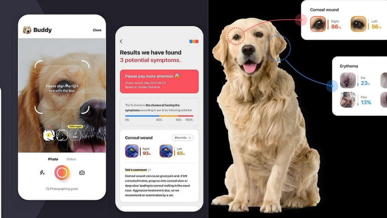 Hoolie Foundation, AI app