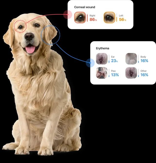 Η συνεργασία της Start Up Hoolie Foundation με την Kορεάτικη TTCARE φέρνει την...Pet AI στην Ευρώπη!