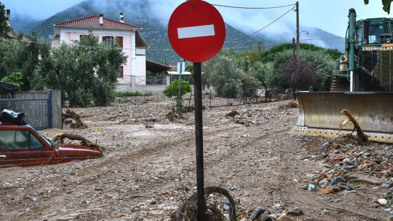 Elias, ασφαλισμένες ζημιές, αποζημιώσεις