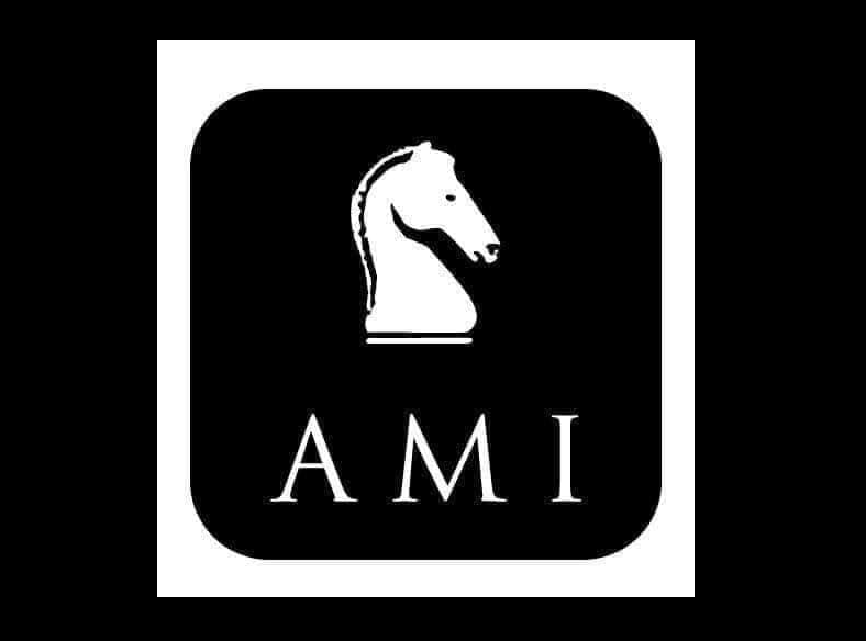 AMI INSURANCE AGENCY