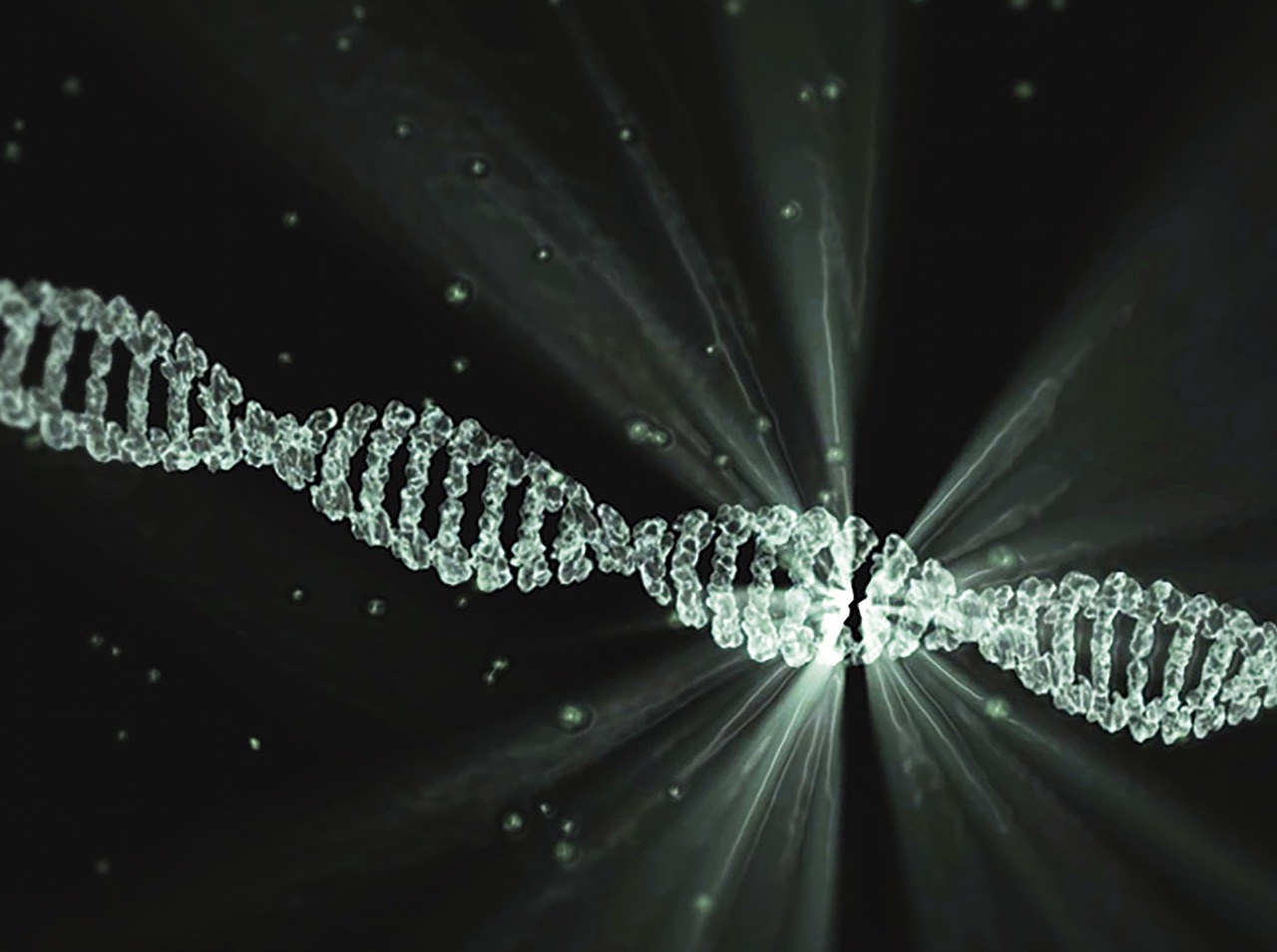 γενετικός κώδικας, dna