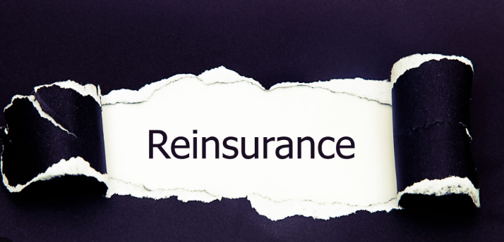 Αρχική 10 reinsurance