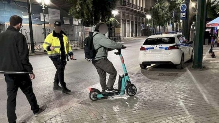 πατίνια, πατίνι